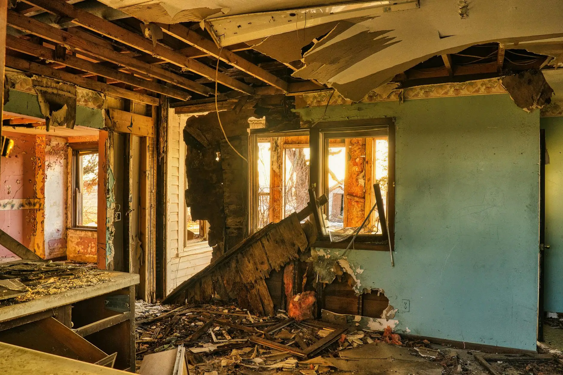 St. Petersburg's Trusted Mold Removal Specialists — St. Petersburg, FL